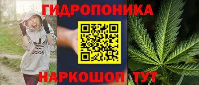 стаф Кунгур
