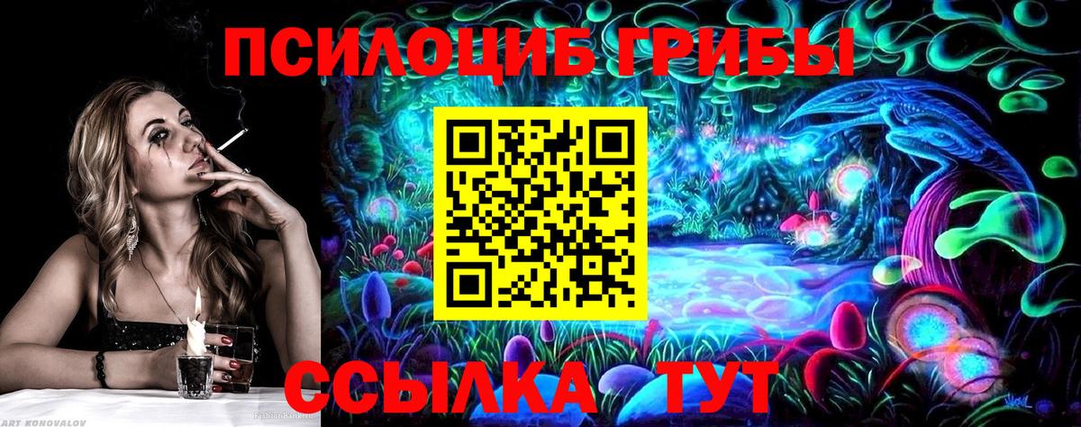 Псилоцибиновые грибы прущие грибы Гай
