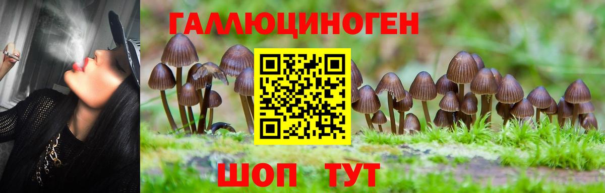 Галлюциногенные грибы Magic Shrooms  Вход с VPN  Гай 